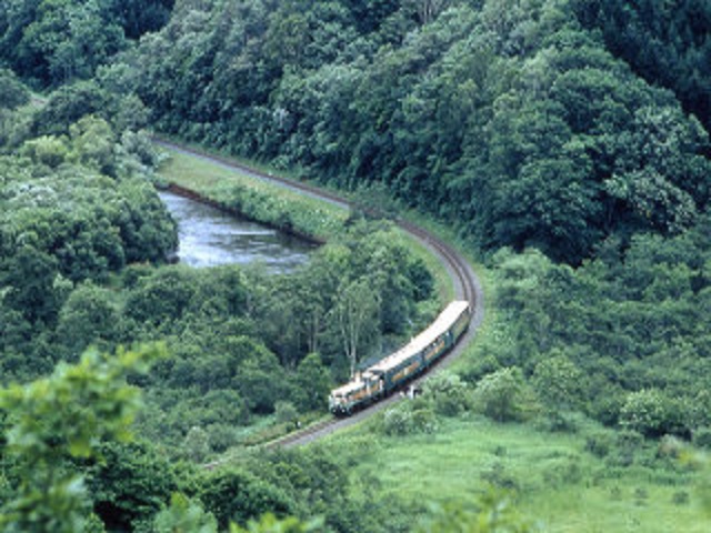 Norokko Train