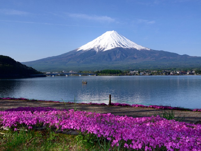 Mount Fuji Area