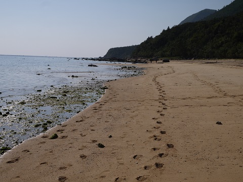 南風見田の浜 (5)