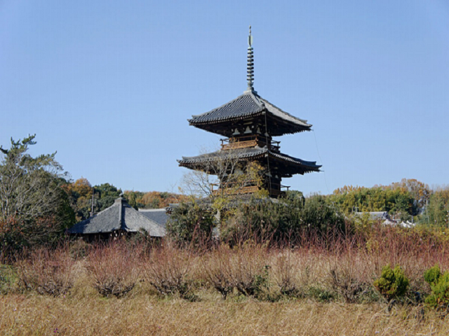 Hoki-ji Temple ,Horin-ji Temple