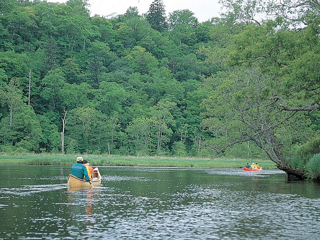 Kushiro River Canoes