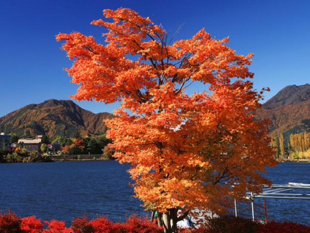  Lake Kawaguchiko