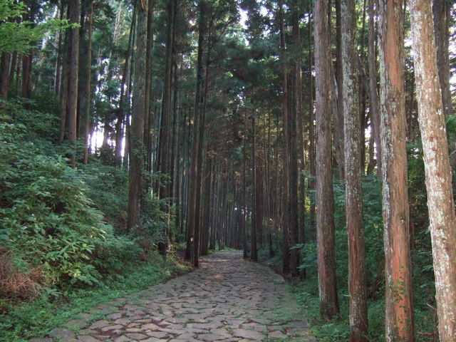  Hakone old road hiking