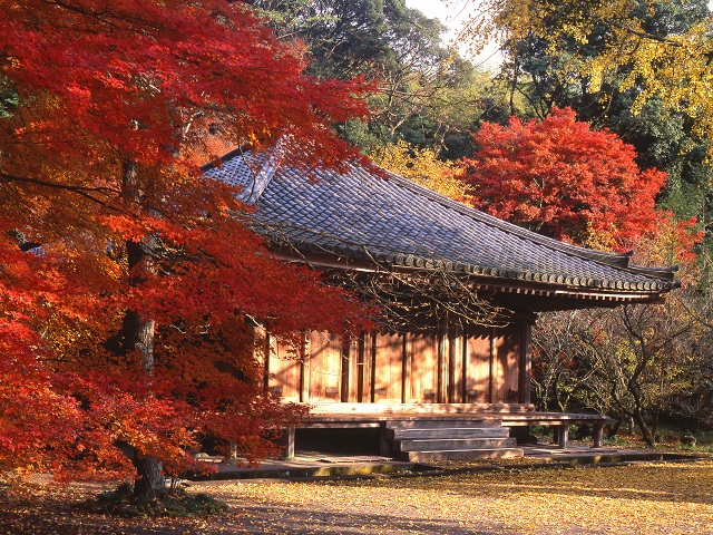  Fuki-ji Temple